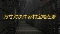 方寸对决牛家村宝箱在哪里